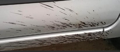 membersihkan noda aspal dengan minyak kayu putih